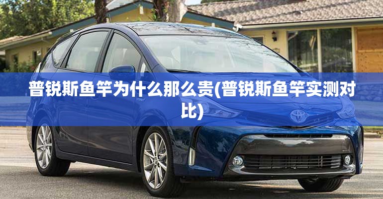 普锐斯鱼竿为什么那么贵(普锐斯鱼竿实测对比)
