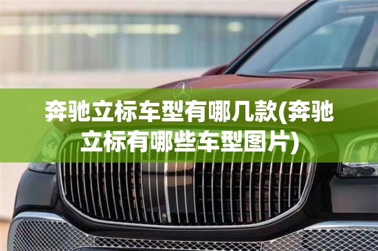 奔驰立标车型有哪几款(奔驰立标有哪些车型图片)