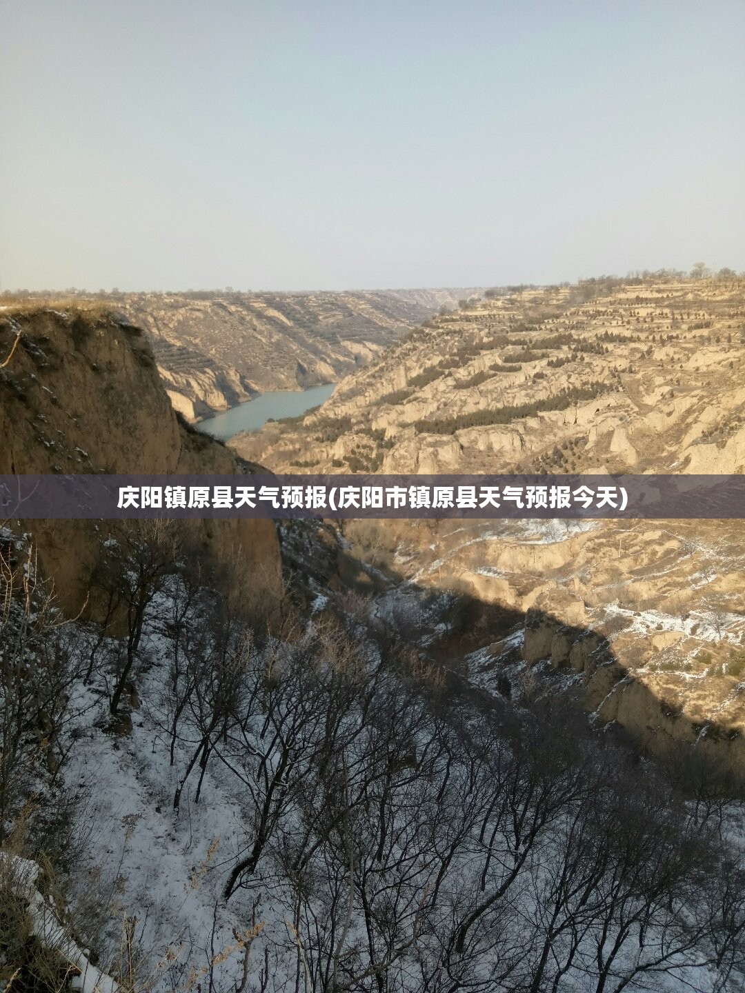 庆阳镇原县天气预报(庆阳市镇原县天气预报今天)