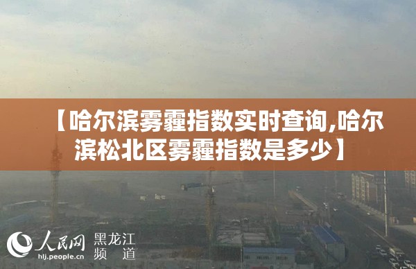 【哈尔滨雾霾指数实时查询,哈尔滨松北区雾霾指数是多少】