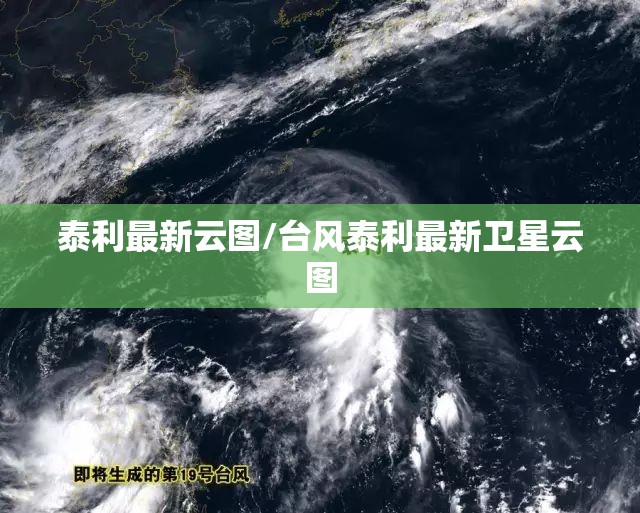 泰利最新云图/台风泰利最新卫星云图
