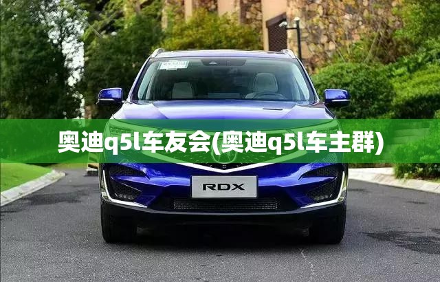 奥迪q5l车友会(奥迪q5l车主群) 奥迪q5l车友会(奥迪q5l车主群)