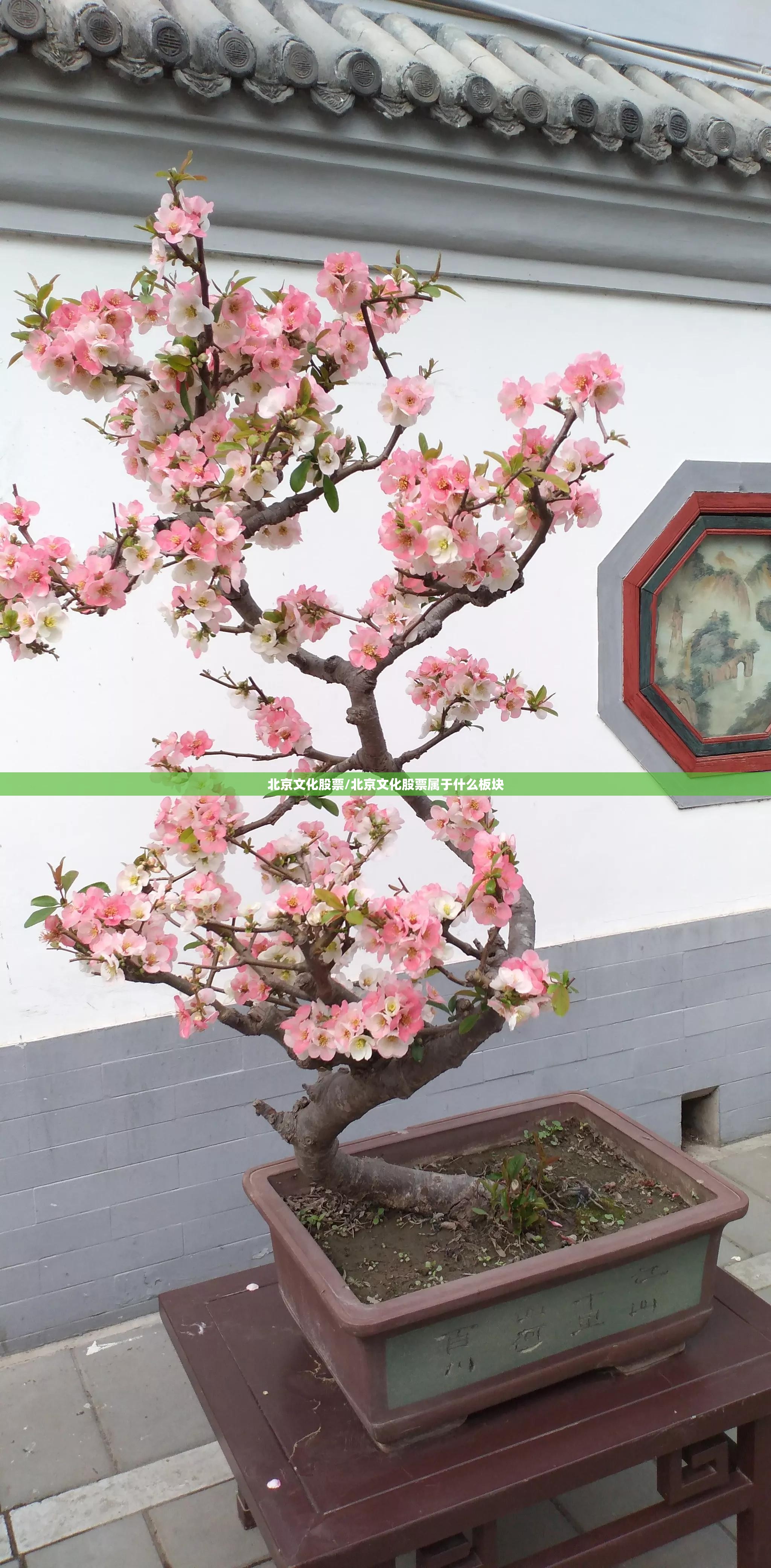 北京文化股票/北京文化股票属于什么板块