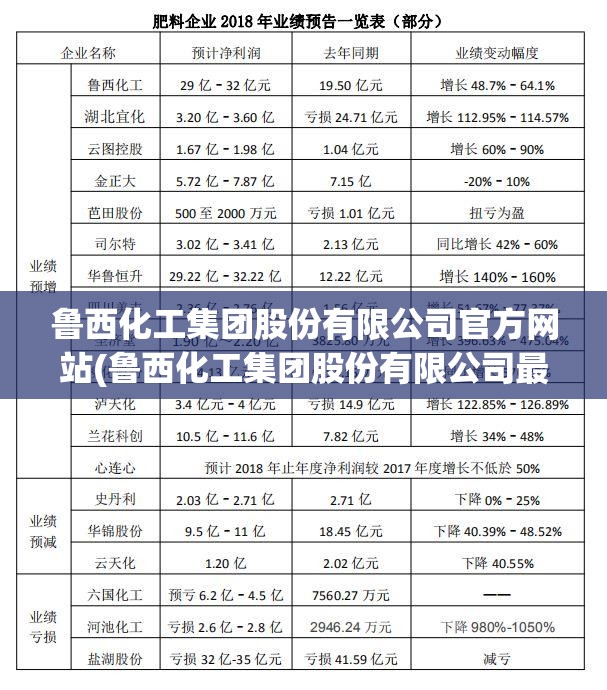 鲁西化工集团股份有限公司官方网站(鲁西化工集团股份有限公司最新项目公示)