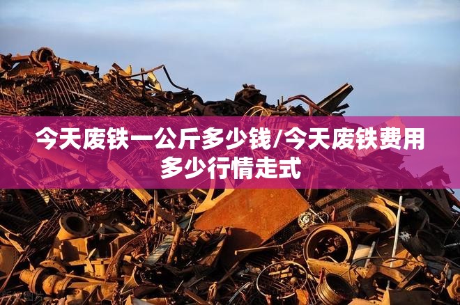 今天废铁一公斤多少钱/今天废铁费用多少行情走式 今天废铁一公斤多少钱/今天废铁费用多少行情走式