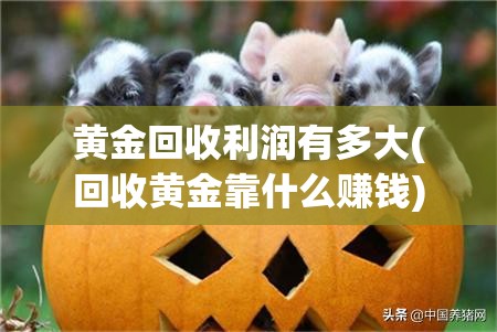黄金回收利润有多大(回收黄金靠什么赚钱)