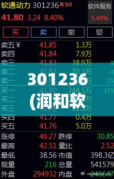 301236(润和软件) 301236(润和软件)