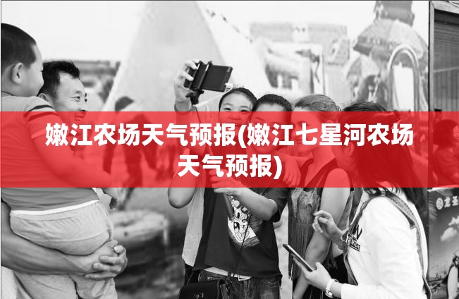 嫩江农场天气预报(嫩江七星河农场天气预报)