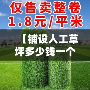 【铺设人工草坪多少钱一个平方,铺设人造草坪连工带料多少钱一平方】