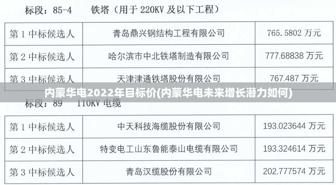 内蒙华电2022年目标价(内蒙华电未来增长潜力如何)
