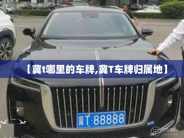 【冀t哪里的车牌,冀T车牌归属地】