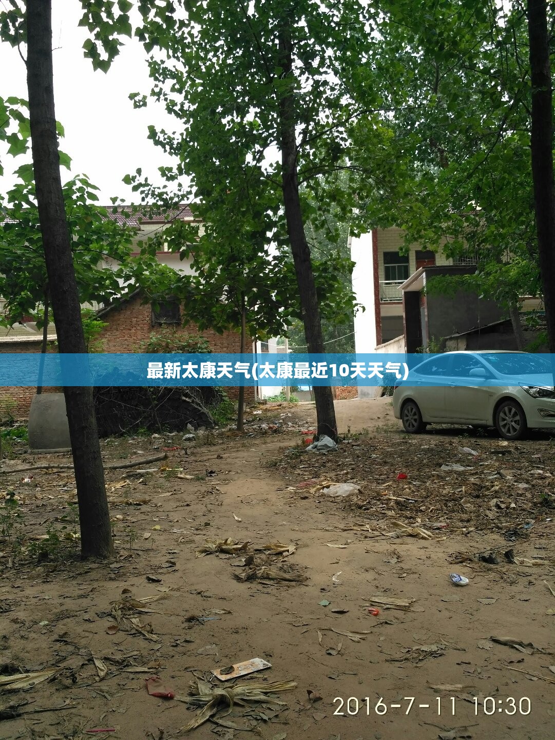 最新太康天气(太康最近10天天气)