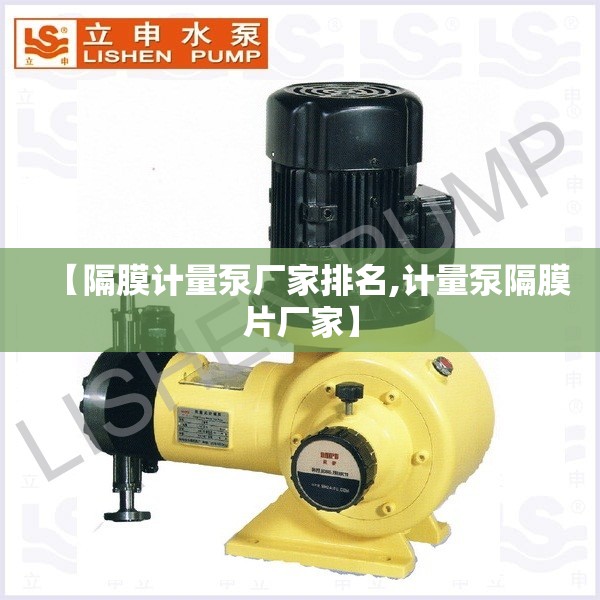【隔膜计量泵厂家排名,计量泵隔膜片厂家】