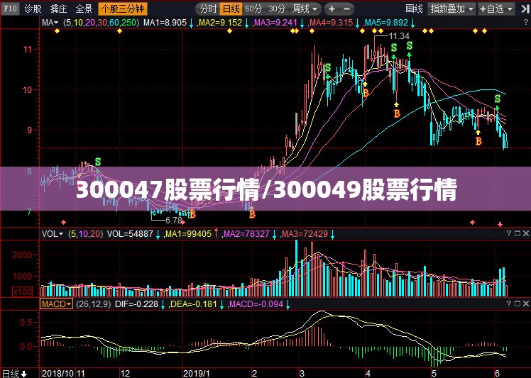 300047股票行情/300049股票行情