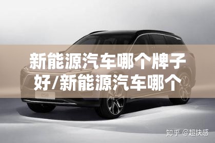 新能源汽车哪个牌子好/新能源汽车哪个牌子好?