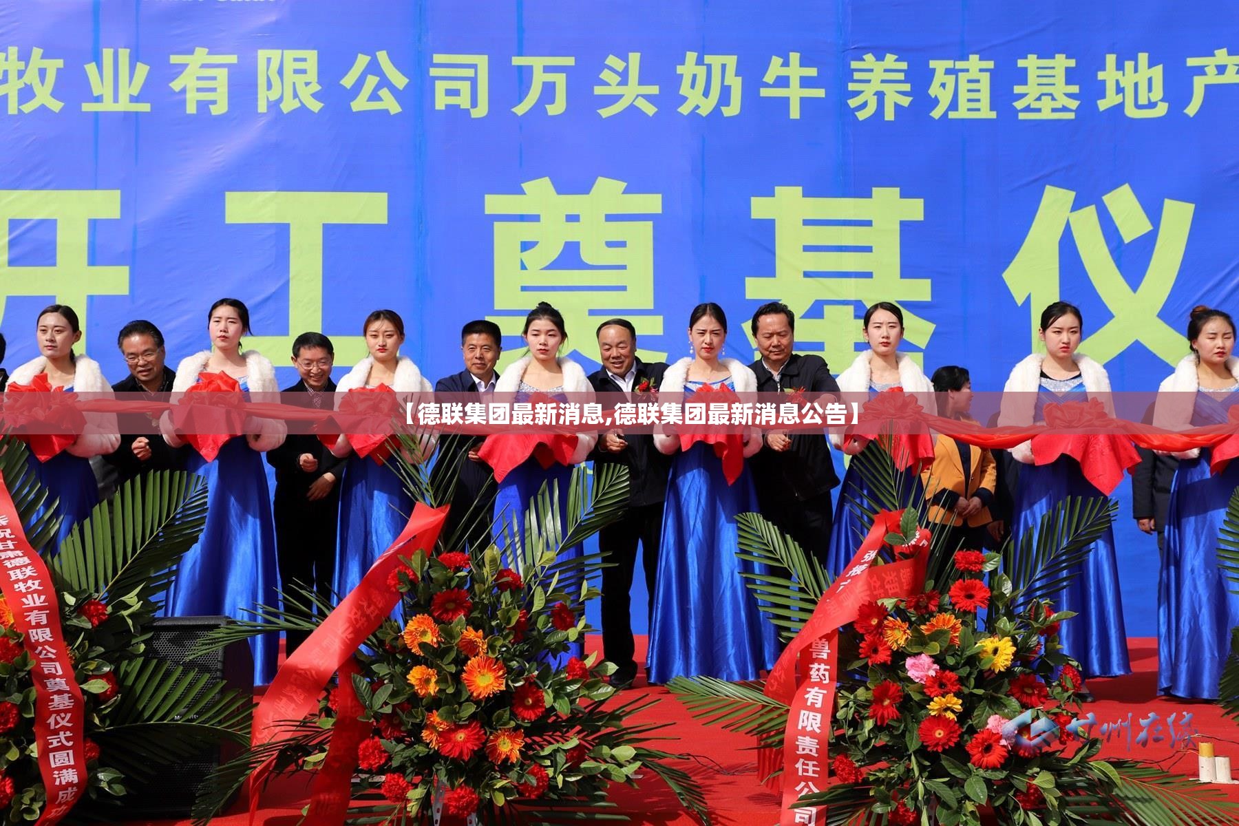 【德联集团最新消息,德联集团最新消息公告】