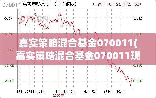 嘉实策略混合基金070011(嘉实策略混合基金070011现在值得买吗) 嘉实策略混合基金070011(嘉实策略混合基金070011现在值得买吗)