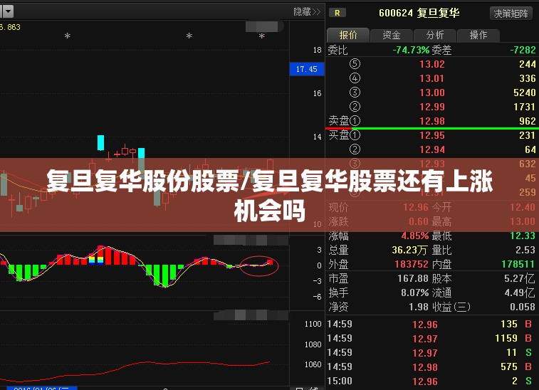 复旦复华股份股票/复旦复华股票还有上涨机会吗 复旦复华股份股票/复旦复华股票还有上涨机会吗