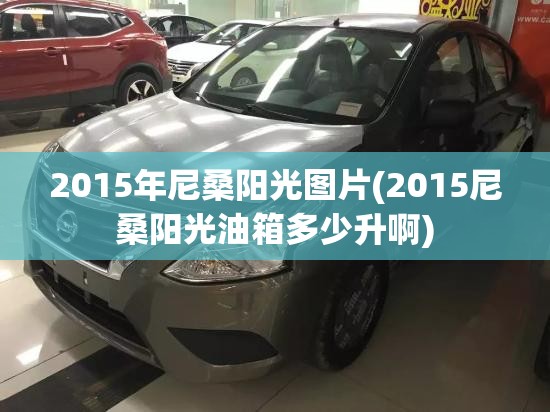 2015年尼桑阳光图片(2015尼桑阳光油箱多少升啊)