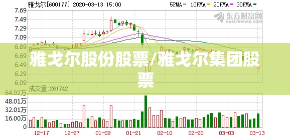 雅戈尔股份股票/雅戈尔集团股票 雅戈尔股份股票/雅戈尔集团股票