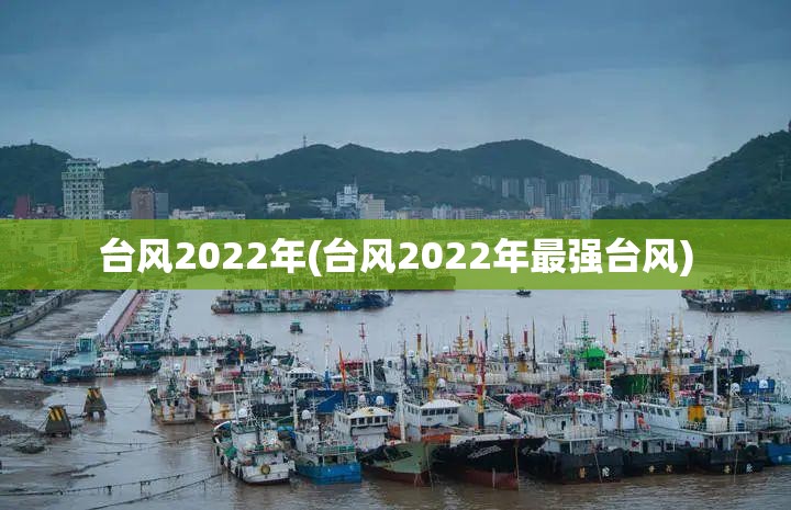 台风2022年(台风2022年最强台风)