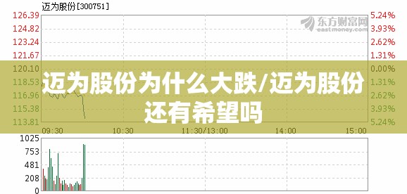 迈为股份为什么大跌/迈为股份还有希望吗 迈为股份为什么大跌/迈为股份还有希望吗