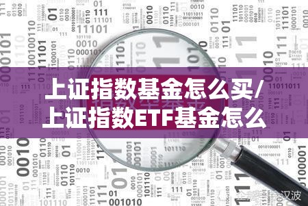 上证指数基金怎么买/上证指数ETF基金怎么买 上证指数基金怎么买/上证指数ETF基金怎么买