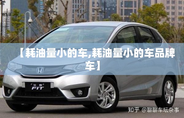【耗油量小的车,耗油量小的车品牌车】