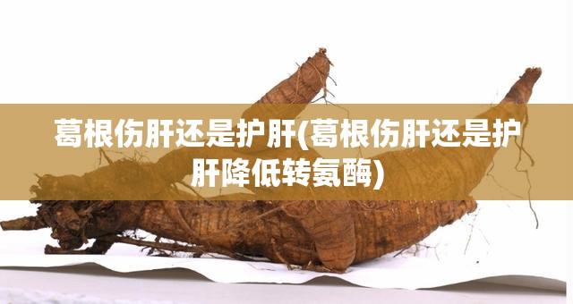 葛根伤肝还是护肝(葛根伤肝还是护肝降低转氨酶) 葛根伤肝还是护肝(葛根伤肝还是护肝降低转氨酶)