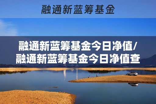 融通新蓝筹基金今日净值/融通新蓝筹基金今日净值查询 融通新蓝筹基金今日净值/融通新蓝筹基金今日净值查询