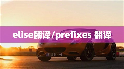 elise翻译/prefixes 翻译 elise翻译/prefixes 翻译