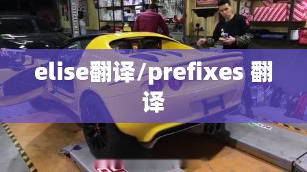 elise翻译/prefixes 翻译 elise翻译/prefixes 翻译