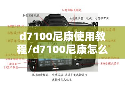 d7100尼康使用教程/d7100尼康怎么设置 d7100尼康使用教程/d7100尼康怎么设置