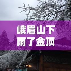 峨眉山下雨了金顶有上去的必要吗/峨眉山下雨了金顶有上去的必要吗?