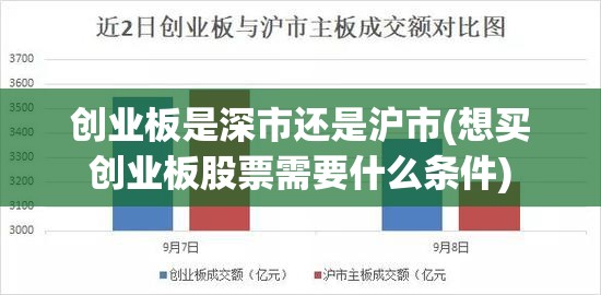 创业板是深市还是沪市(想买创业板股票需要什么条件)