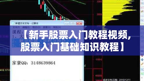 【新手股票入门教程视频,股票入门基础知识教程】