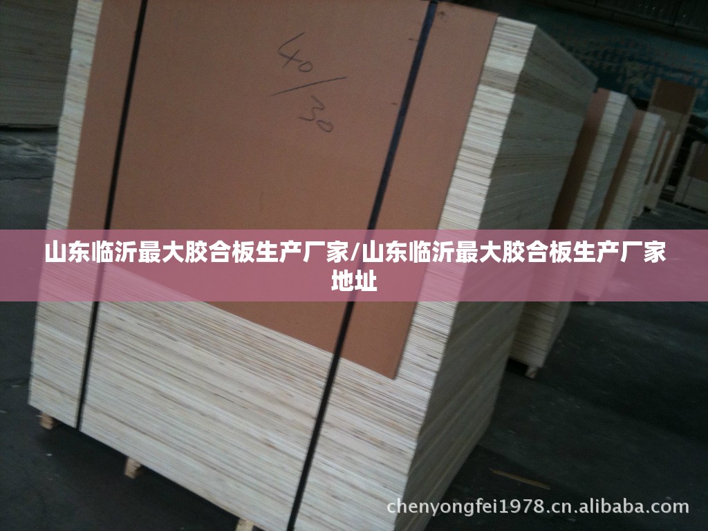 山东临沂最大胶合板生产厂家/山东临沂最大胶合板生产厂家地址 山东临沂最大胶合板生产厂家/山东临沂最大胶合板生产厂家地址