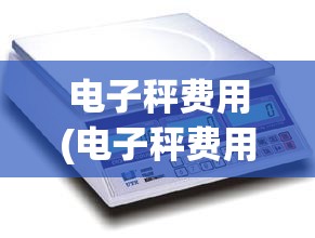 电子秤费用(电子秤费用表一览) 电子秤费用(电子秤费用表一览)