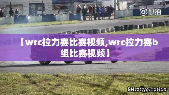 【wrc拉力赛比赛视频,wrc拉力赛b组比赛视频】
