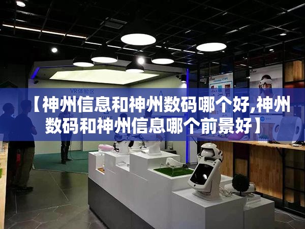 【神州信息和神州数码哪个好,神州数码和神州信息哪个前景好】