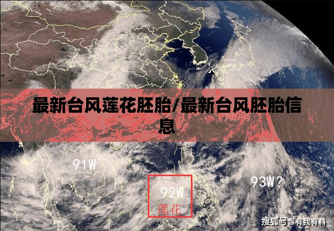 最新台风莲花胚胎/最新台风胚胎信息
