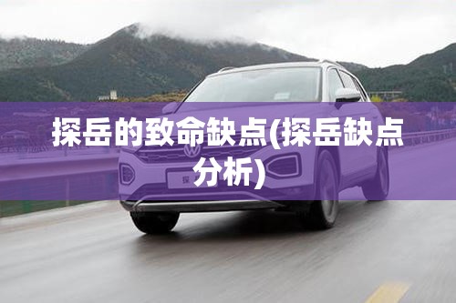 探岳的致命缺点(探岳缺点分析)
