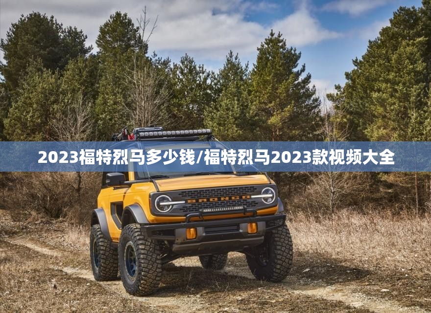 2023福特烈马多少钱/福特烈马2023款视频大全