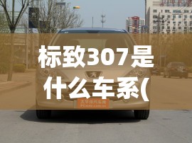 标致307是什么车系(标致307和同价位日系车哪个好)
