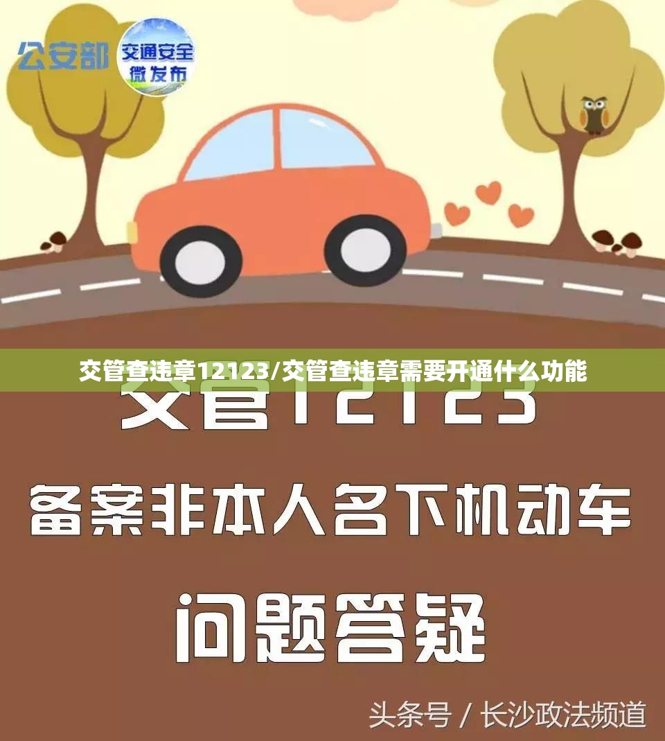 交管查违章12123/交管查违章需要开通什么功能