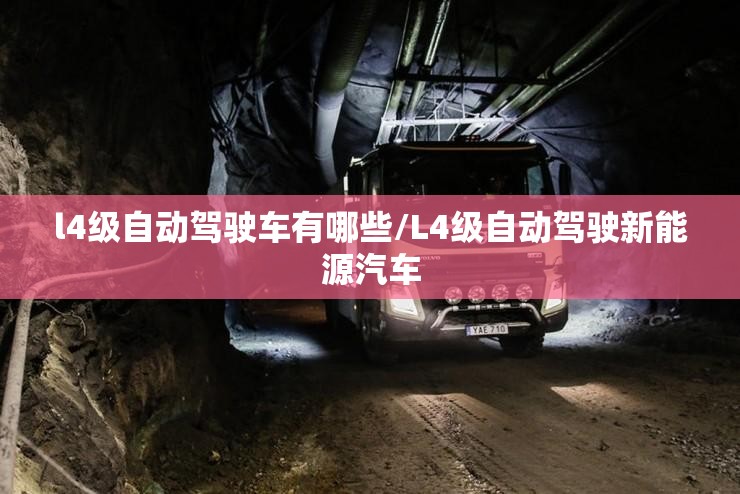 l4级自动驾驶车有哪些/L4级自动驾驶新能源汽车 l4级自动驾驶车有哪些/L4级自动驾驶新能源汽车