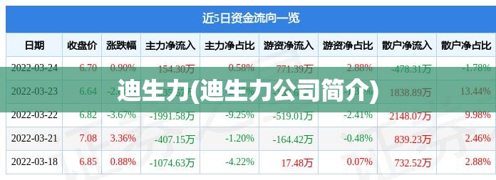 迪生力(迪生力公司简介)