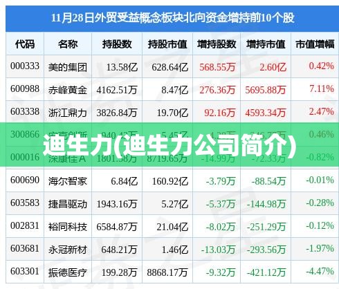 迪生力(迪生力公司简介)