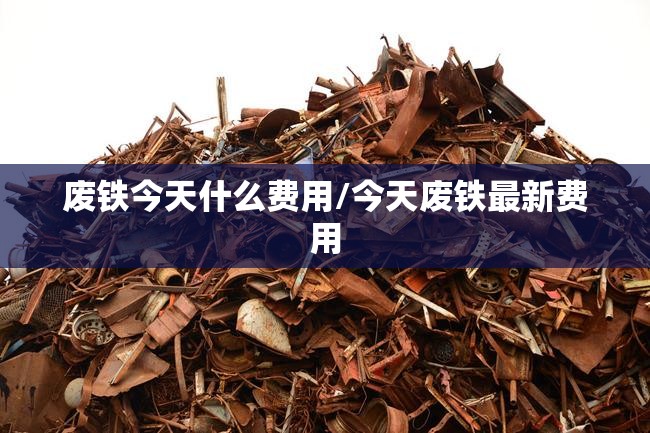 废铁今天什么费用/今天废铁最新费用