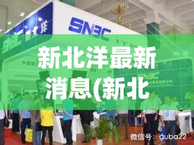新北洋最新消息(新北洋最新利好消息)